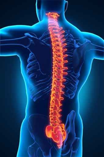 Miramar Spine Repair